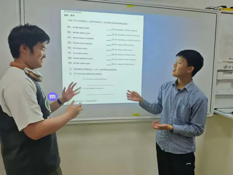 Cross-Language Comparison